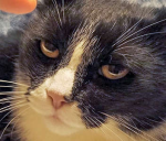 Аватар пользователя F-art