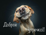 Аватар пользователя Арчи