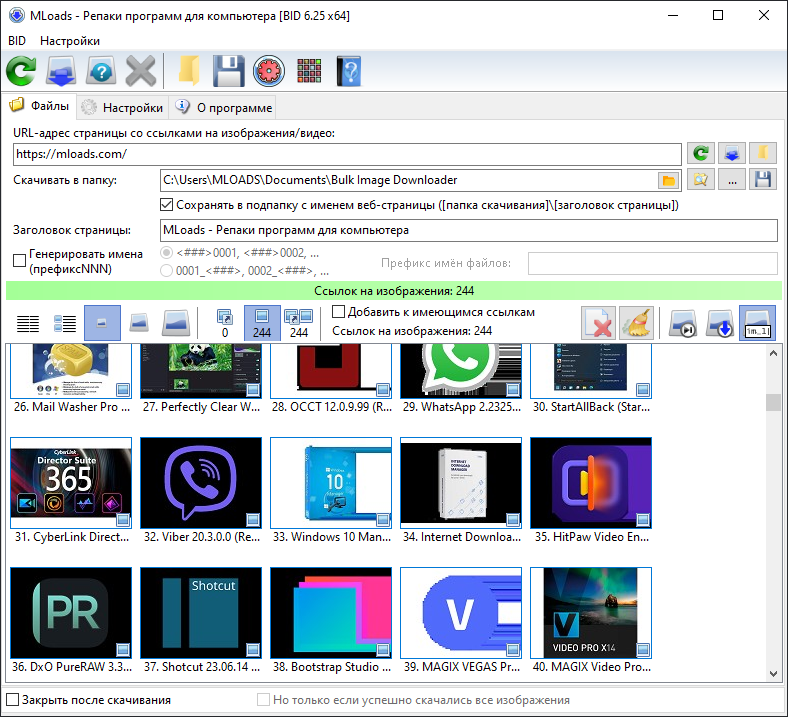 Bulk Image Downloader crack активация