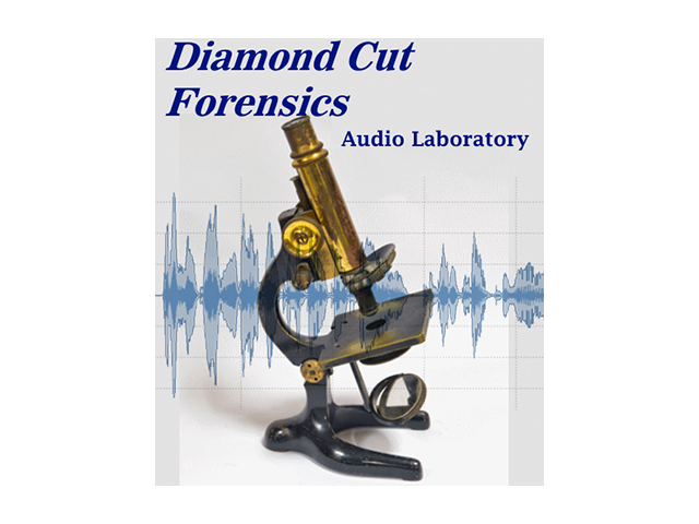 Diamond Cut Forensics Audio Laboratory 11.03 + Portable