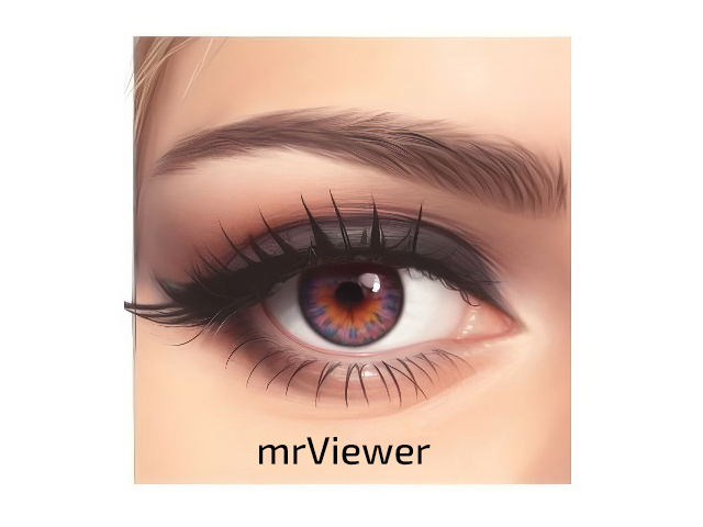 mrViewer 6.2.1 + Portable