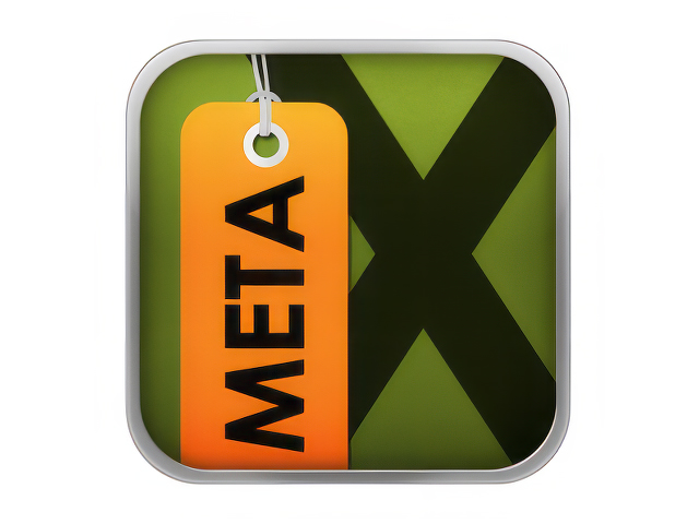 MetaX 2.87