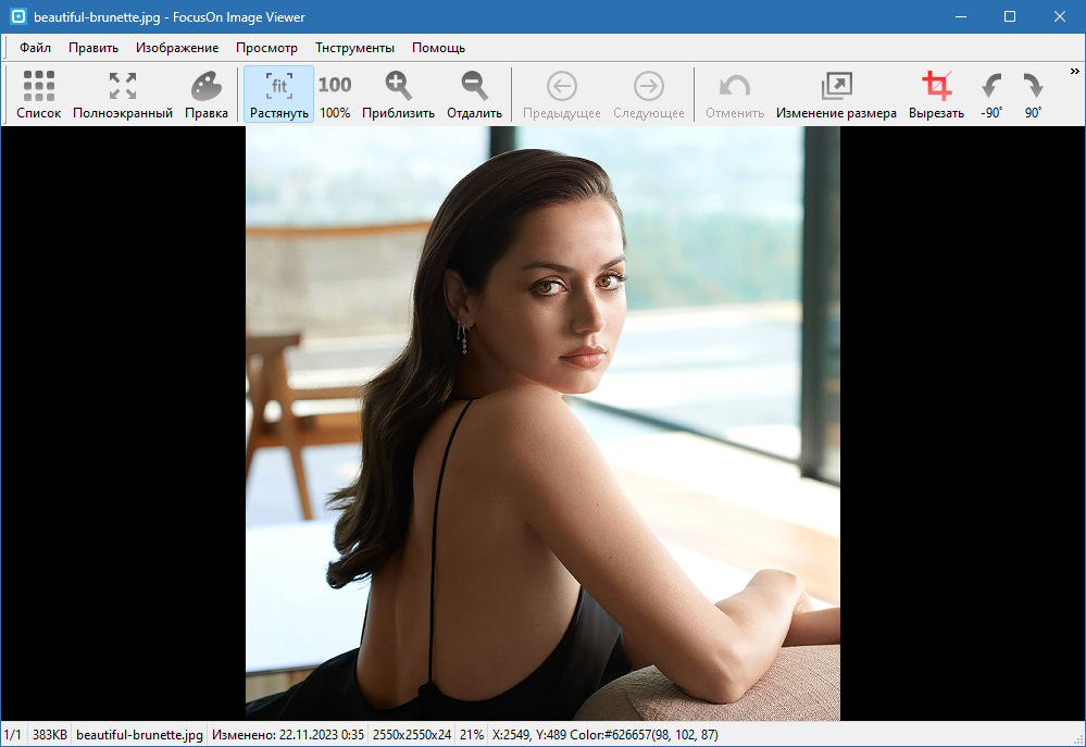 FocusOn Image Viewer на Русском