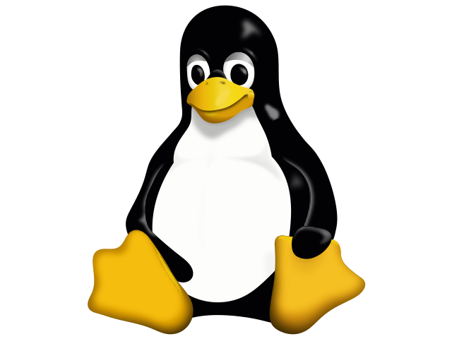 Linux Kernel 6.10