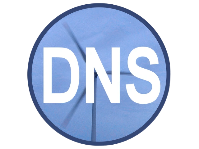 Simple DNS Plus