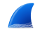 Wireshark 4.4.2 + Portable