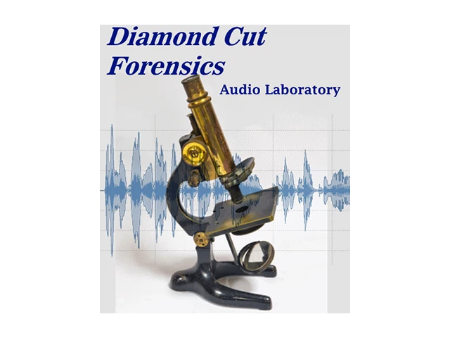 Diamond Cut Forensics Audio Laboratory скачать бесплатно