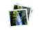 Логотип программы 3delite Duplicate Picture Finder 1.0.102.112 + Repack + Portable