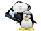 Логотип программы DiskInternals Linux Reader 4.22.2.0