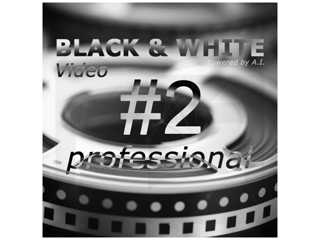 Franzis BLACK & WHITE Video 2 Professional 2.25.04078