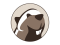 DBeaver 24.3.0.202412240726 Ultimate + MacOS