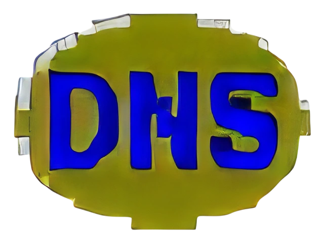 DNSDataView