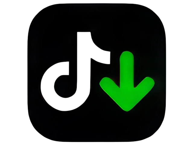 TikTok Downloader