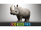 Логотип программы Zoo Tools Pro 2.8.1 для Autodesk Maya