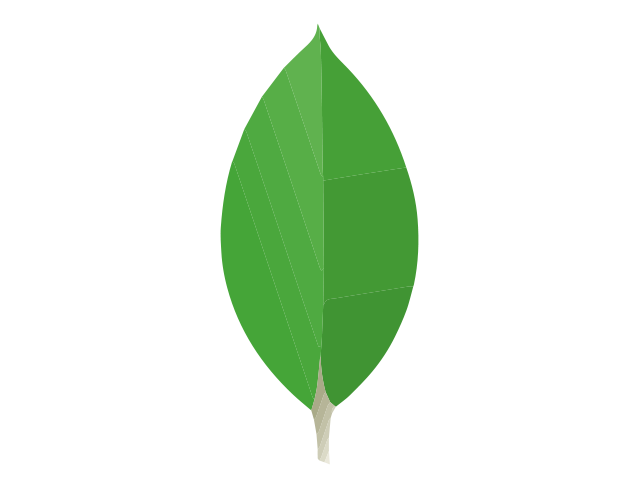 MongoDB Compass 1.46.2