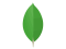 Логотип программы MongoDB Compass 1.46.2