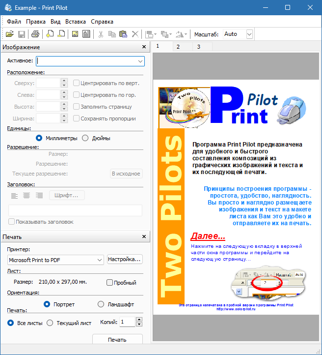 Print Pilot для Windows
