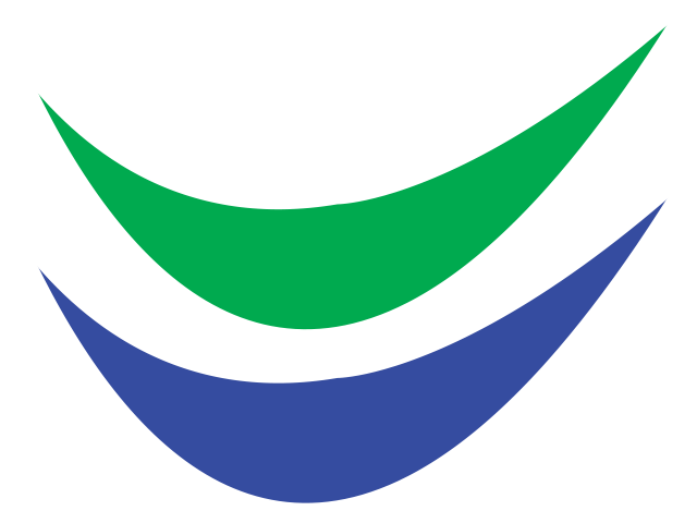 ViceVersa