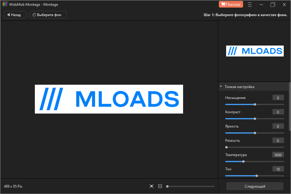 WidsMob Montage для Windows