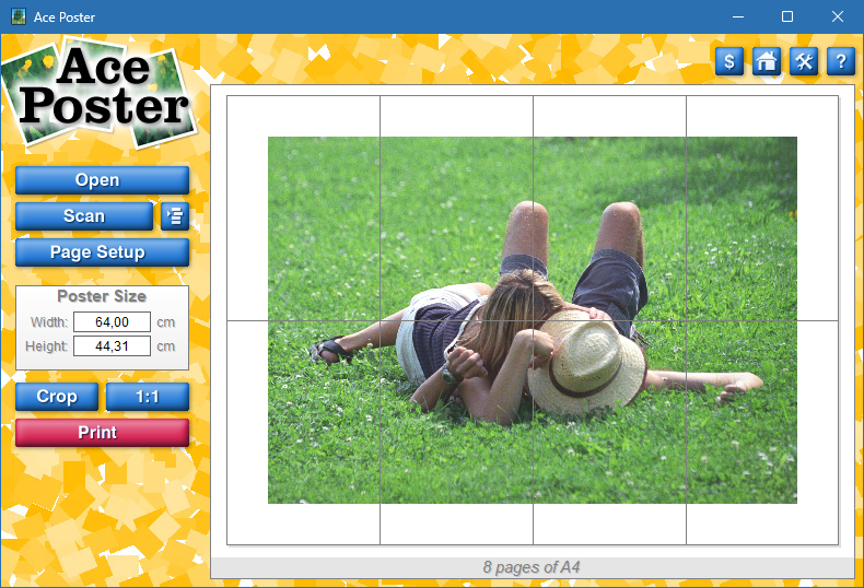 Ace Poster скачать для Windows