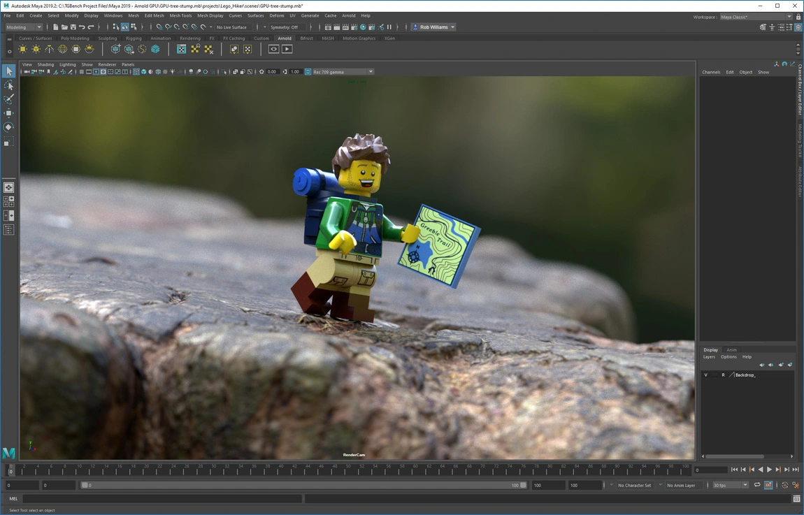Arnold for Maya для Windows