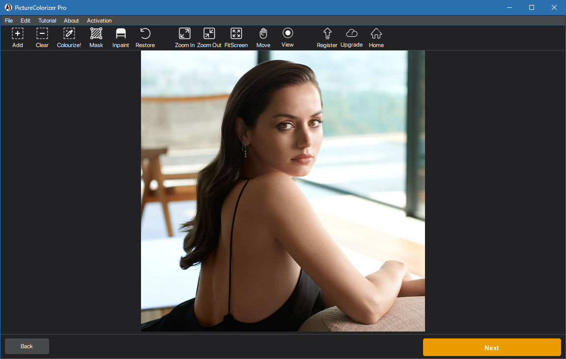 Picture Colorizer для Windows