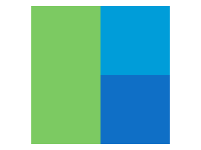 RaiDrive