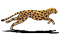 Free Pascal 3.2.2