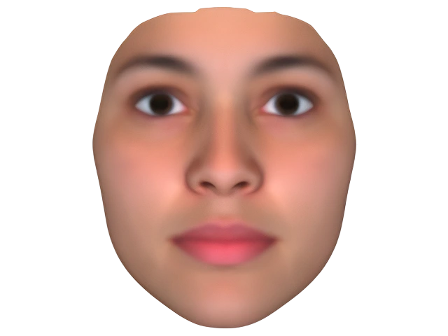 FaceGen Artist