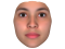 FaceGen Artist Pro 3.12 + Portable