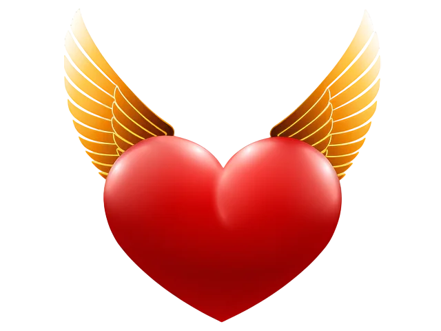 DNS Angel 1.8