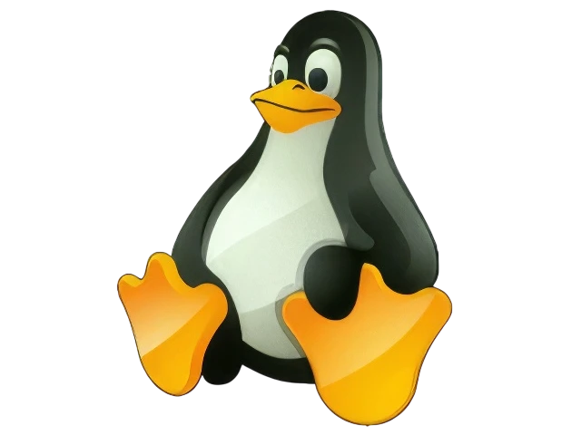 wsltty 3.8.0.3 + Portable