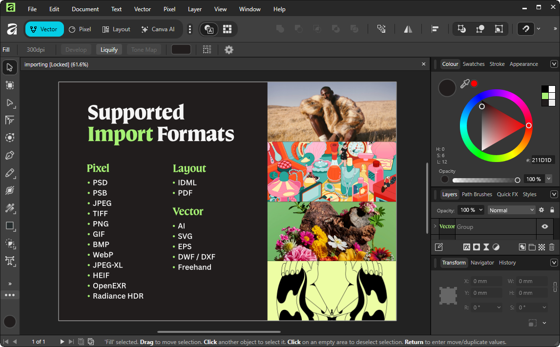 Affinity Canva с ключом и кряком