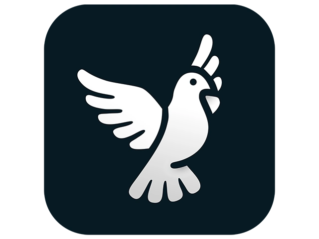 ByeDPI Manager 0.3.11